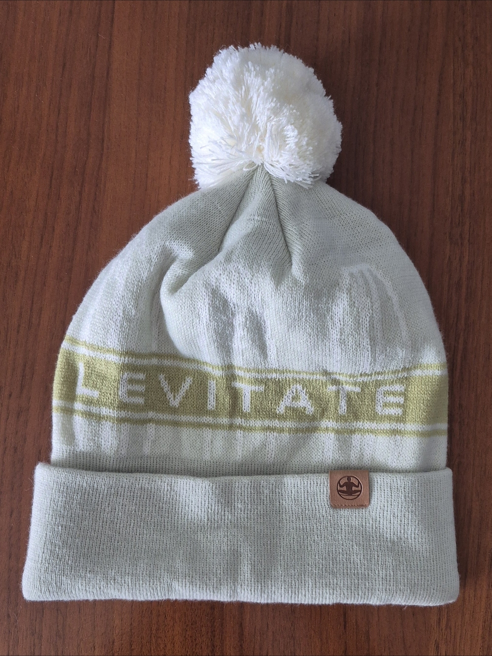 Levitate Pom Beanie in Light Mint and White